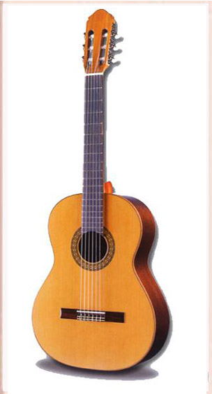 GUITARRA - RAIMUNDO ESTUDIO 123 CEDRO